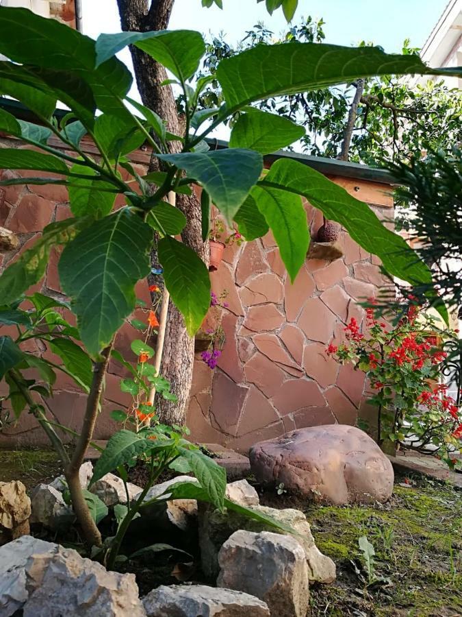 Runo Guest House Gagra Exterior photo