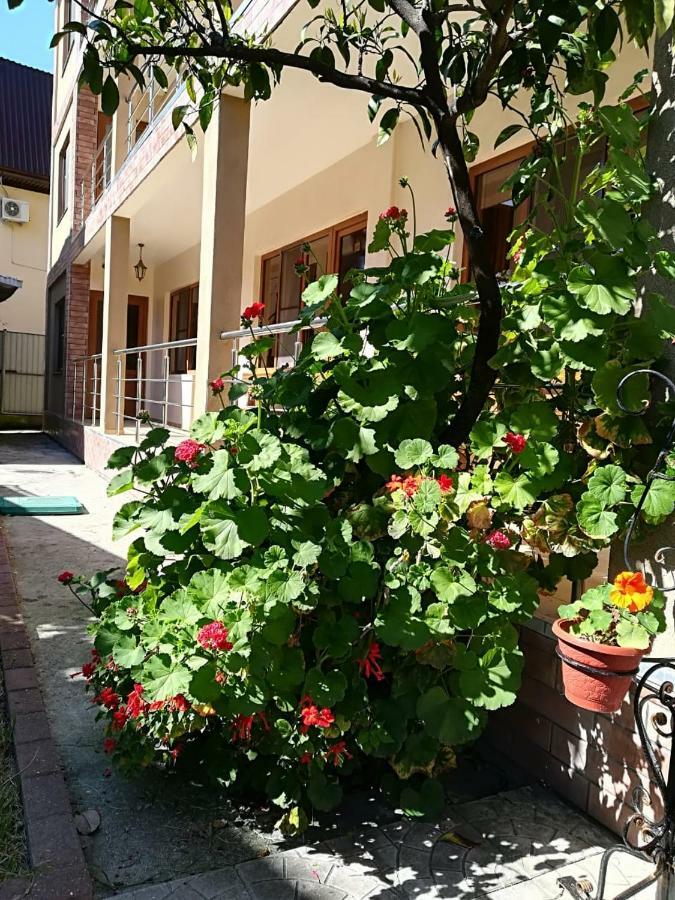 Runo Guest House Gagra Exterior photo
